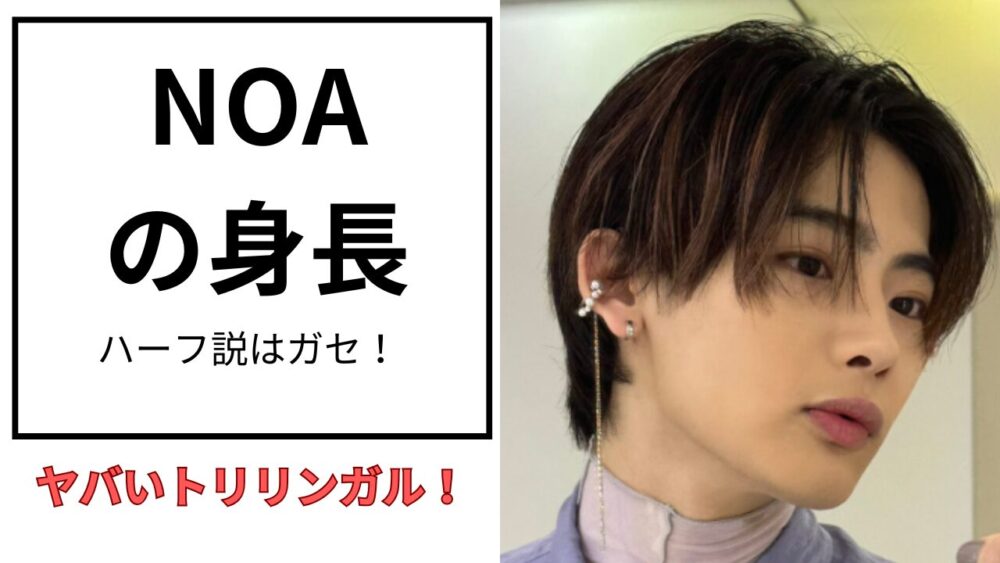 NOAのアイキャッチ画像
